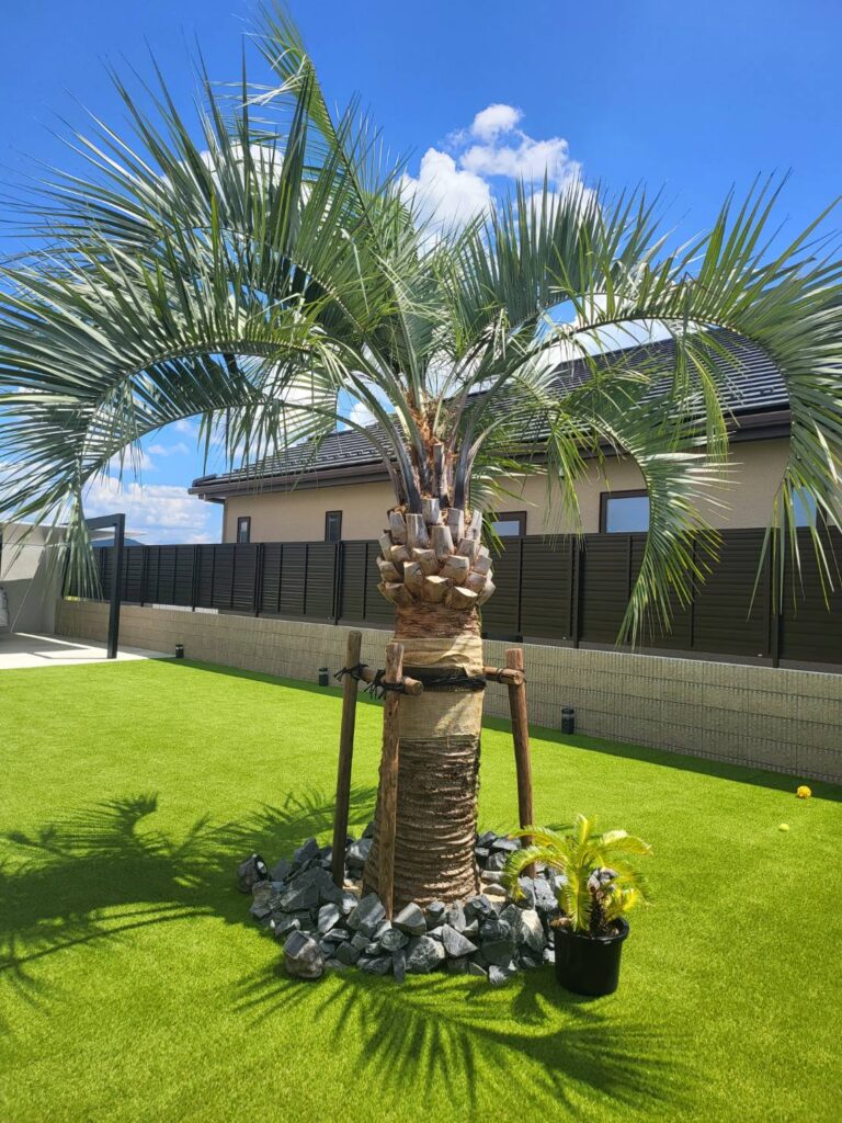 テラスSC、ココスヤシがシンボルツリーの存在感のあるリゾートガーデン